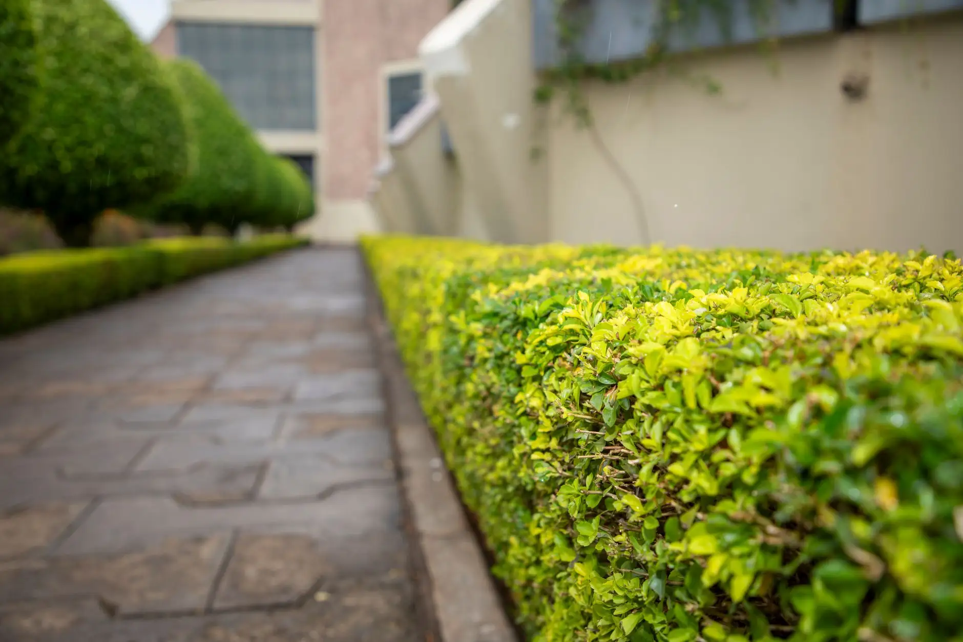 锦州防盗门选购指南：松岩御造铜门与钢质门的安全性能对比分析