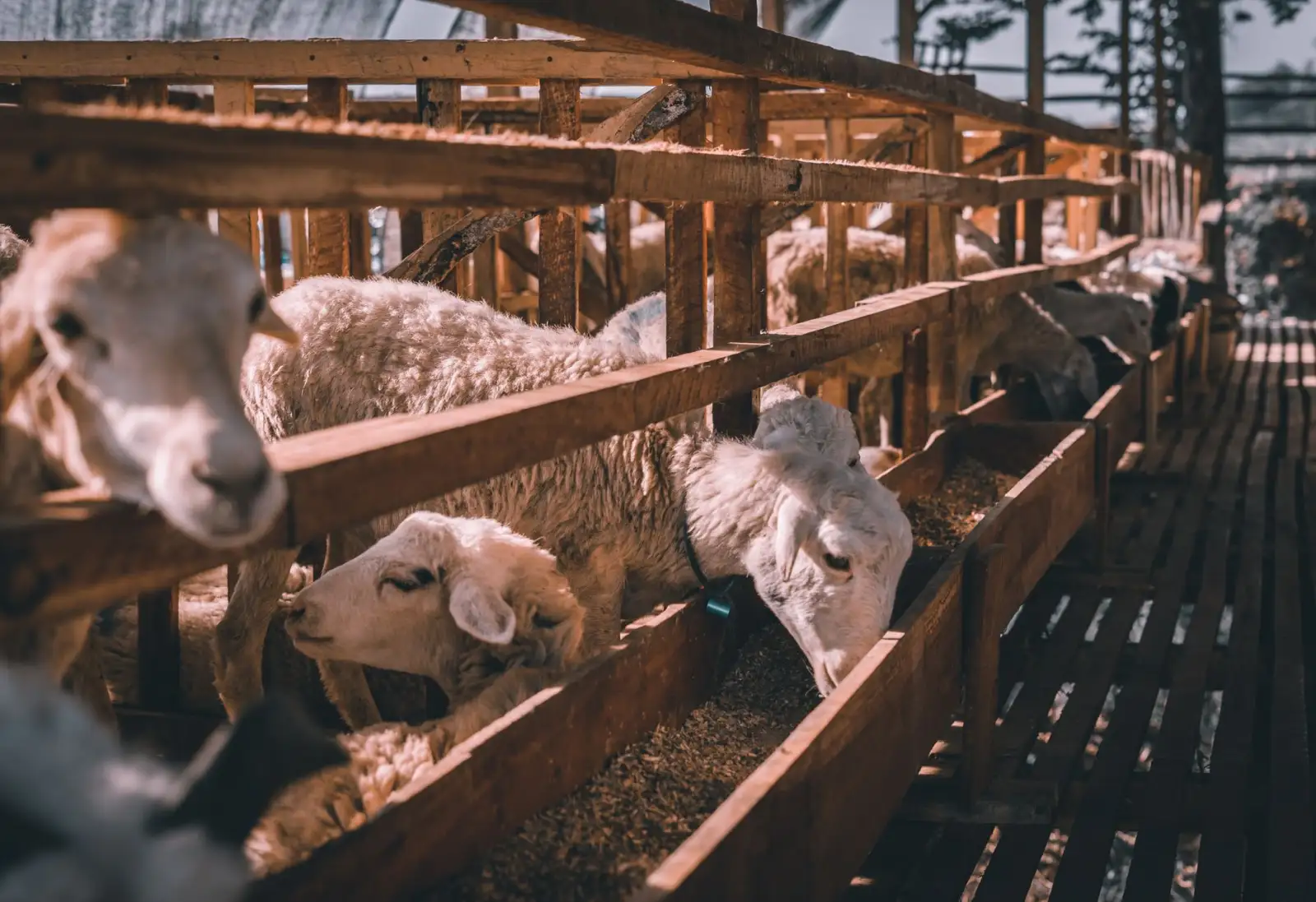 锦州铜门定制选购指南:从材质工艺到安装维护全解析